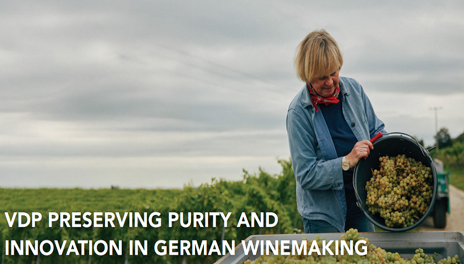 VERBAND DEUTSCHER PRADIKATSWEINGUTER (VDP)- Preserving Wine tradition and innovation