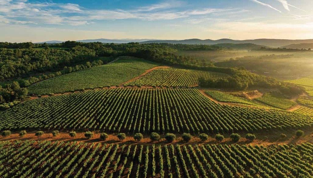 La Commanderie De Peyrassol: Provence’s living legacy. By Malay Kumar Rout