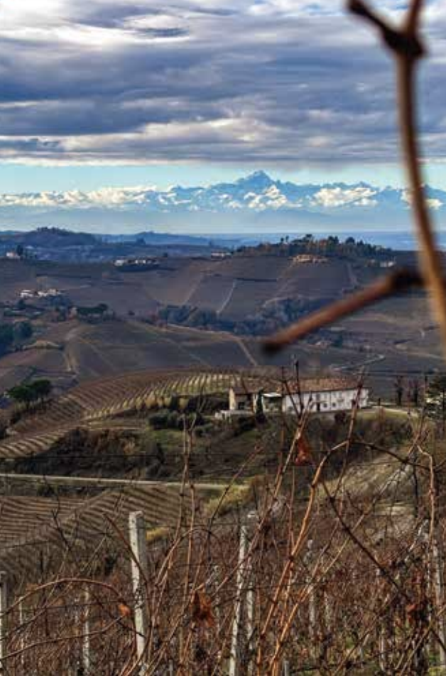 Nebbiolo Prima 2025: Exploring Barolo, Barbaresco & Roero Vintages