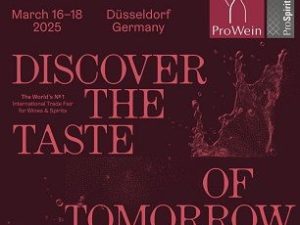 WhatsApp Image 2025-02-12 at 5.30.37 PM WhatsApp Image 2025-02-12 at 5.30.37 PM